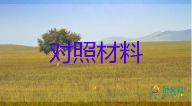 村支部生活對照材料優(yōu)質(zhì)7篇