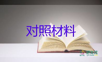 村黨支部檢查對照材料最新6篇