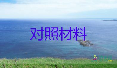 生活會(huì)支部委員對(duì)照材料5篇