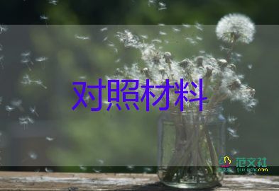 以案為鑒班子對(duì)照材料7篇