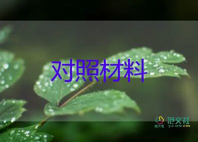 黨會(huì)個(gè)人對(duì)照材料6篇