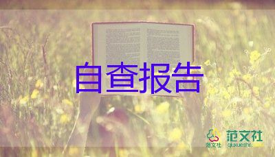 關(guān)于企業(yè)自查報(bào)告優(yōu)秀范文7篇