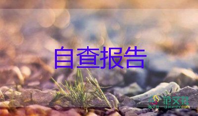 審計自我鑒定精選7篇