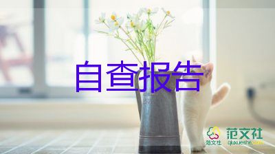 2024年個人銷售總結(jié)報告5篇