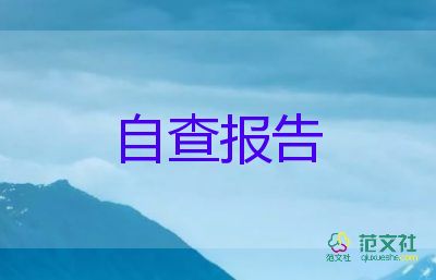 2022自查財(cái)務(wù)工作報(bào)告6篇