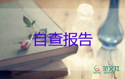 村遠(yuǎn)程教育自查報告5篇