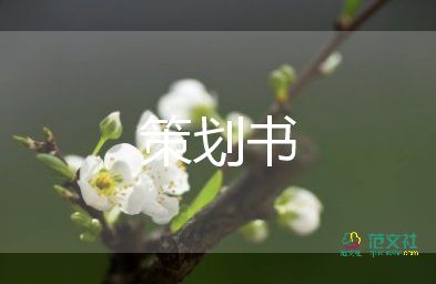 驚喜方案策劃6篇