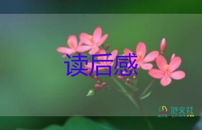 狼到讀后感優(yōu)質7篇