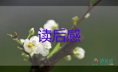 我很重要讀后感6篇