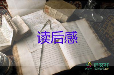 安七小說(shuō)讀后感參考5篇