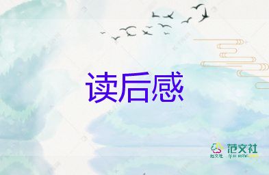 壘石頭的讀后感8篇