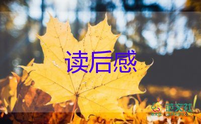 小狐貍的槍和炮讀后感8篇