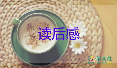 匠人精神800讀后感6篇