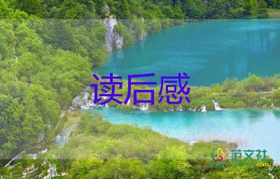 精選關(guān)于小說林海雪原讀后感范文3篇