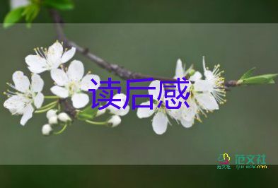 對巴金的讀后感6篇