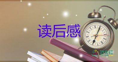 蘇菲書的讀后感通用7篇