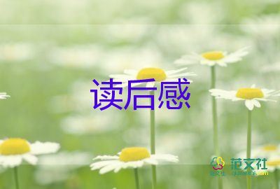 搶的故事讀后感5篇