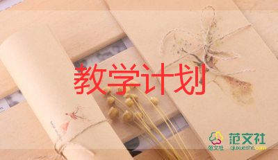 第一小學(xué)教學(xué)計(jì)劃5篇