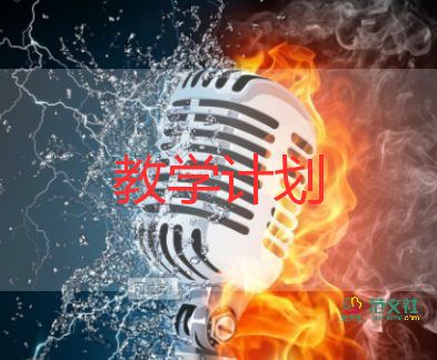 教師青年教學(xué)計(jì)劃8篇