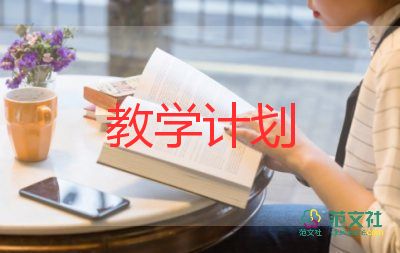 教師教學(xué)個(gè)人總結(jié)范文8篇