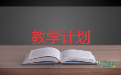 語文個(gè)人教學(xué)計(jì)劃精選5篇