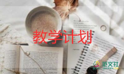 嬋教學(xué)計劃5篇