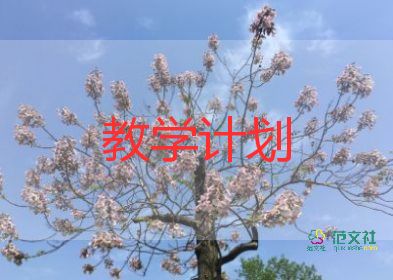 幼兒中班教學(xué)工作總結(jié)7篇