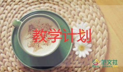 大數(shù)的教學(xué)反思8篇