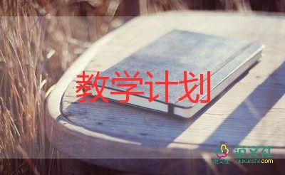 大班教師教學(xué)計(jì)劃5篇