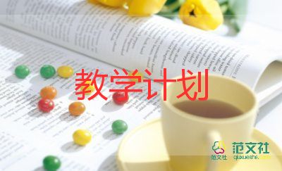 201教學(xué)計劃范文6篇