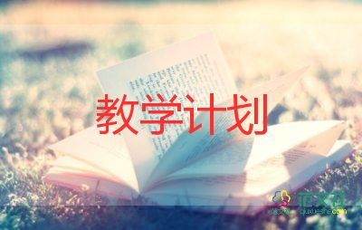 教師的教學(xué)計劃8篇