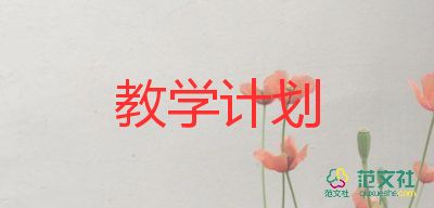 青檸計(jì)劃教學(xué)計(jì)劃推薦5篇