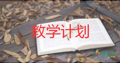 小學(xué)笛教學(xué)計劃7篇