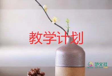 美術(shù)教學(xué)計劃模板8篇