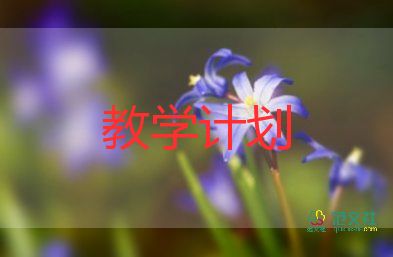 教師一學(xué)期的教學(xué)計劃6篇