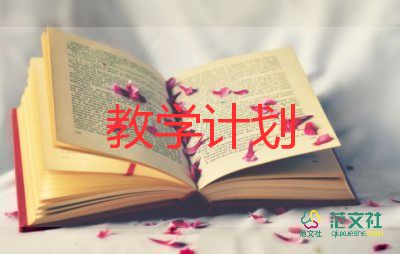 小學(xué)體育教學(xué)計(jì)劃8篇