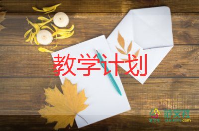 初1美術(shù)教學(xué)計劃參考6篇