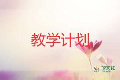 教師個(gè)人工作教學(xué)計(jì)劃6篇