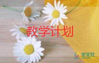 安全課教學(xué)計(jì)劃范文5篇