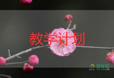 小學(xué)五六體育教學(xué)計劃6篇