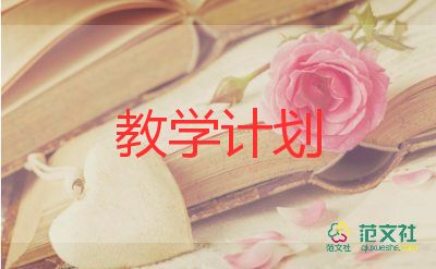 二年級(jí)美術(shù)下教學(xué)計(jì)劃6篇