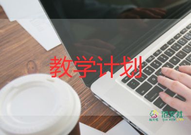 新教師工作教學(xué)計劃6篇