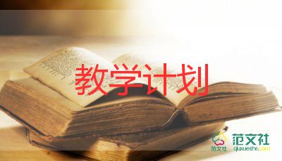 中班教師個(gè)人教學(xué)工作計(jì)劃5篇