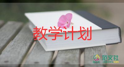 高三數(shù)學(xué)教學(xué)計(jì)劃8篇