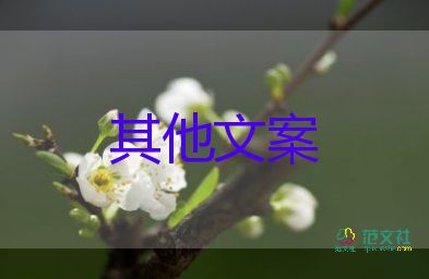 微信今日可發(fā)520紅包，關(guān)于微信的作文