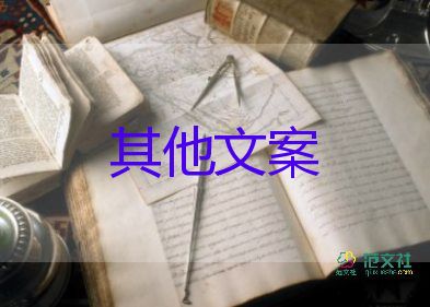 咸粽子銷量是甜粽子4倍，端午節(jié)作文3篇