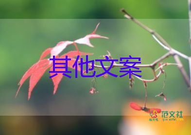 最新消息：上海市常務(wù)副市長(zhǎng)就前期核酸篩查安排不合理做出道歉，關(guān)于核酸檢測(cè)工作總結(jié)