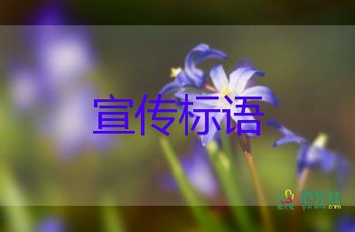 老人賣(mài)唯一住房被中介私吞60萬(wàn)元，防詐騙心得體會(huì)3篇