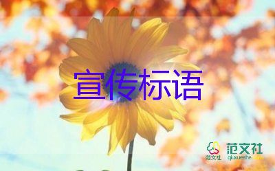 教育部作出回應(yīng)：中小學(xué)將全面開啟“線上教學(xué)”？