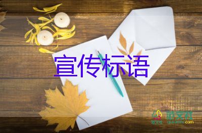 上海疫情近兩日呈下降趨勢 兩區(qū)首日達到清零目標，疫情防控心得體會1篇